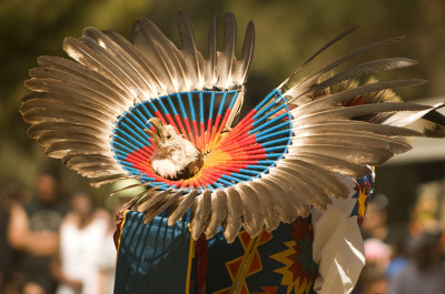 Thumbnail for '42nd Annual Stanford Powwow & Indian art market is this weekend, May 10-12'