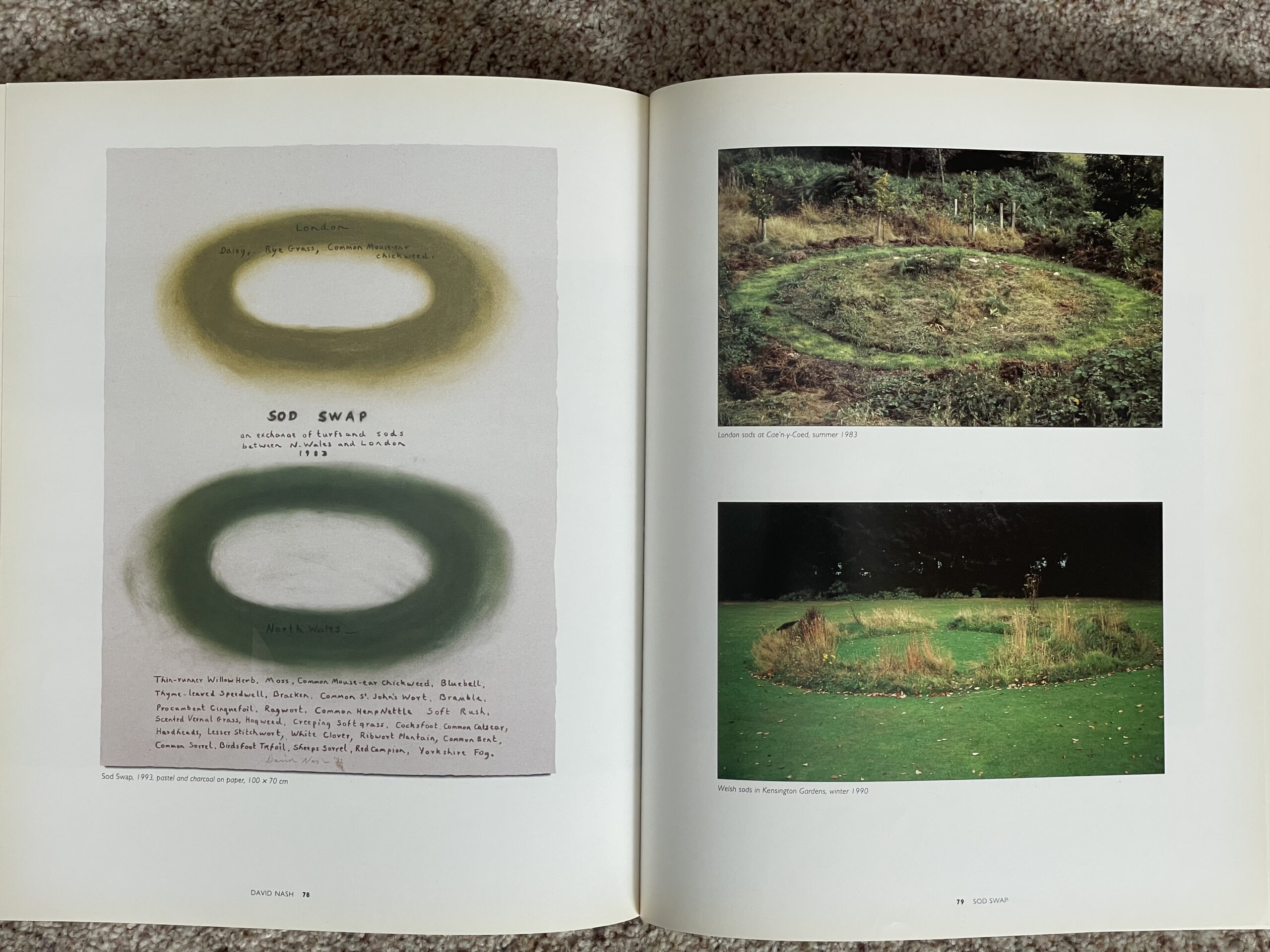 David Nash - Sod Swap