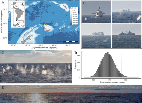 First published record of overlap between whales and the krill fishery