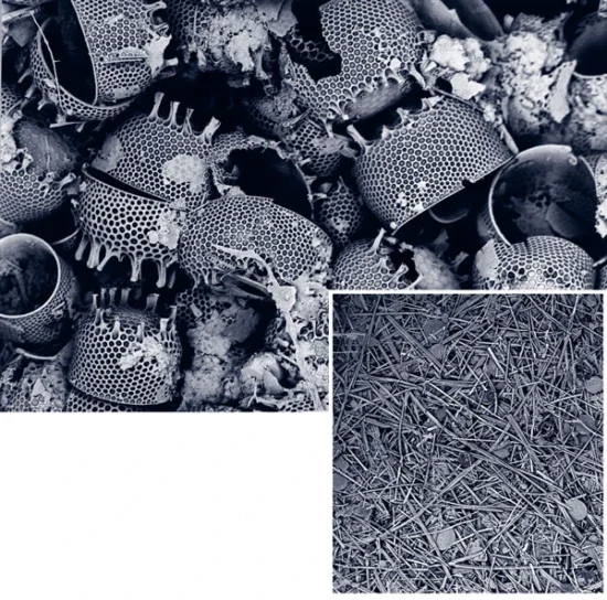 The Giant Diatom Dump