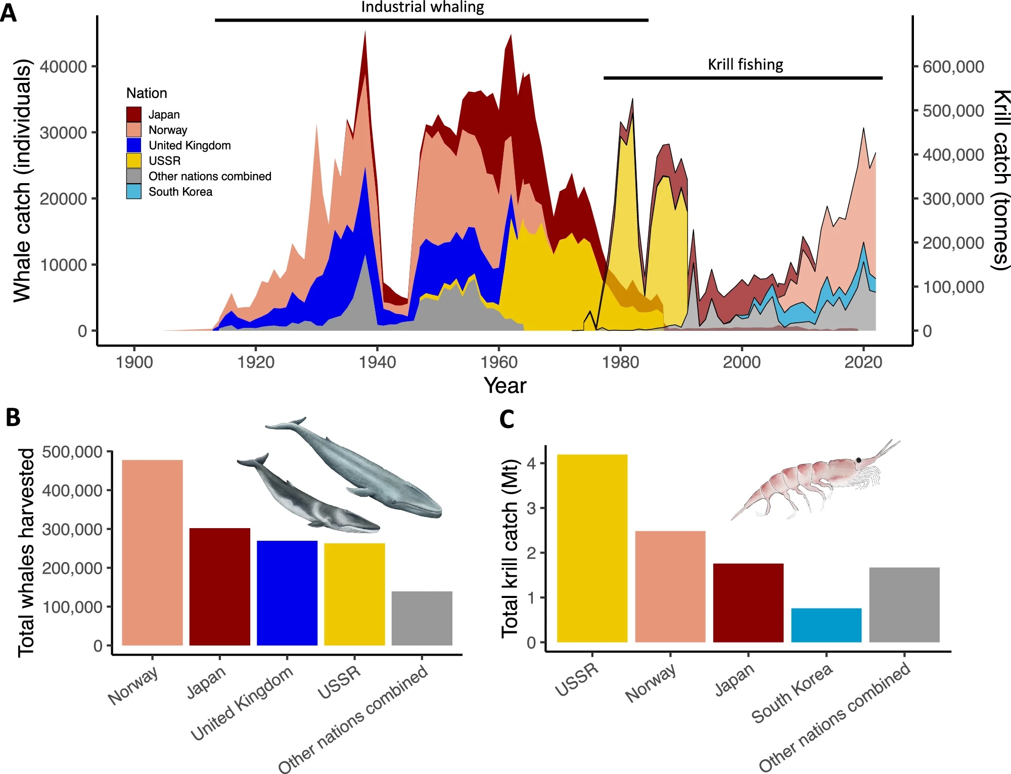 Whale recovery and the emerging human-wildlife conflict over Antarctic krill