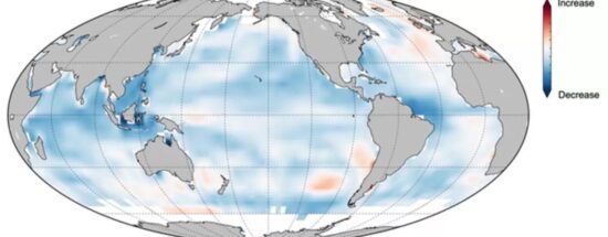 The world ocean is losing its memory under global warming