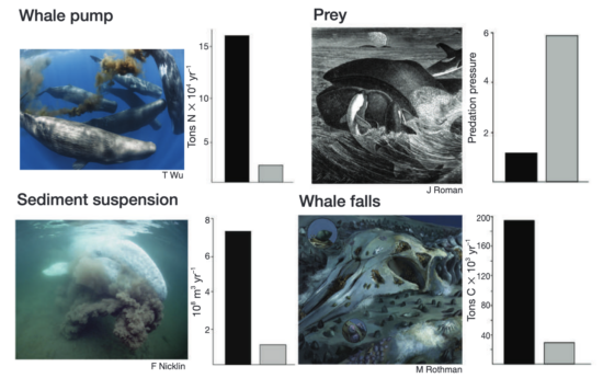 Frontiers in Ecology and the Environment: Volume 12, Issue 7