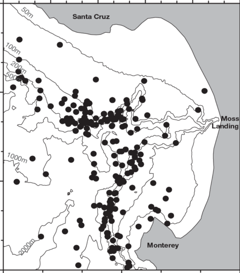 From wind to whales: Trophic links in a coastal upwelling system