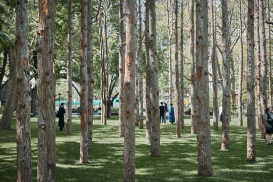 Maya Lin - Ghost Forest