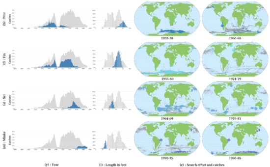 WhaleVis: Visualizing the history of commerical whaling