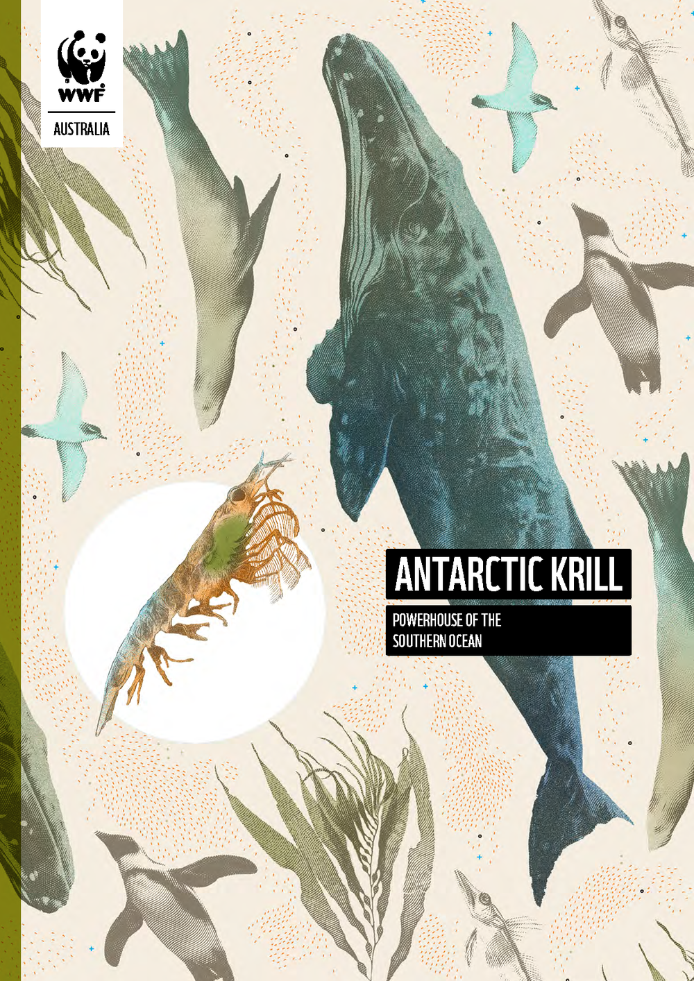 Antarctic Krill: Powerhouse of the Southern Ocean - WWF Report