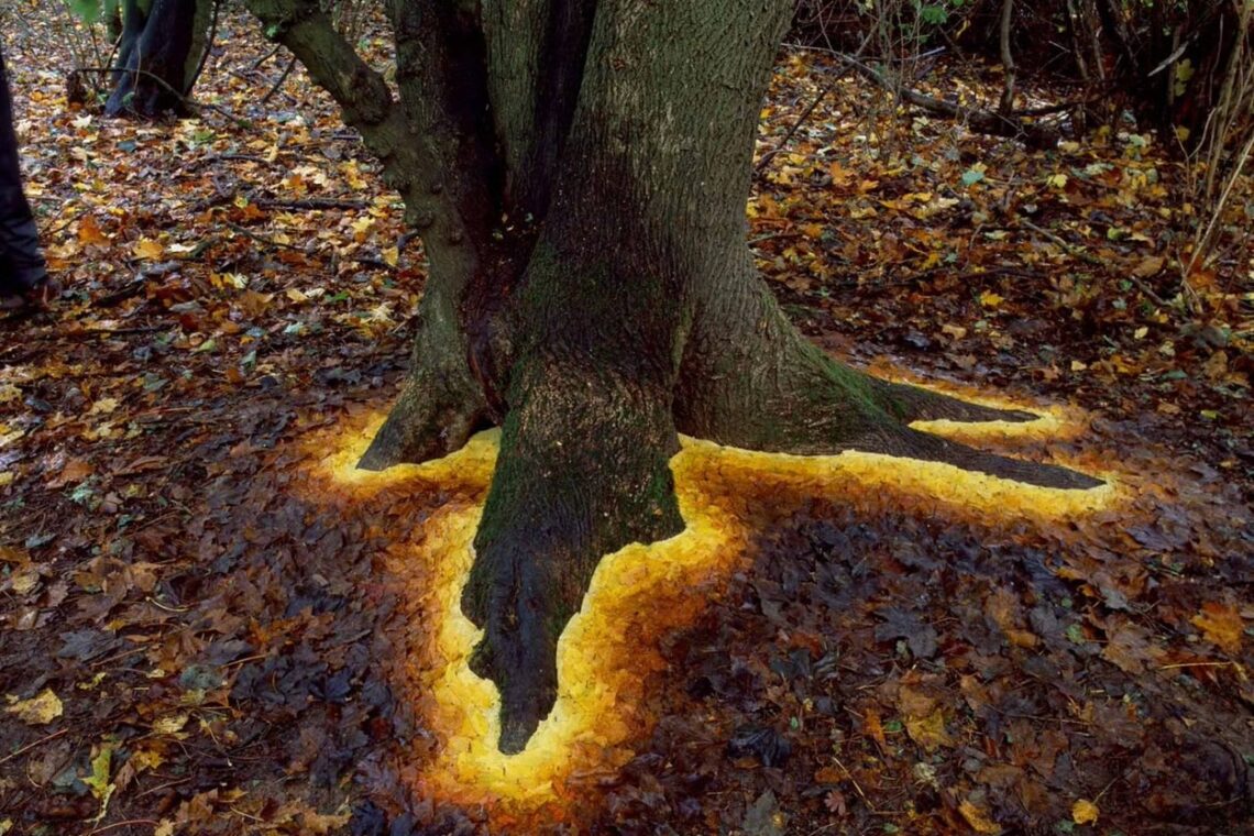 Andy Goldsworthy's Ephemeral Works: Artwork that is a testament to passing time