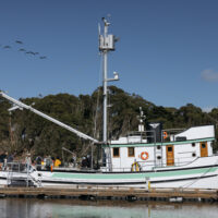 The Western Flyer, the same fishing vessel that novelist John Steinbeck chartered to the Sea of Cortez, is restored and used as part of a three-week course for Stanford’s Sophomore College program. | Image: Andrew Brodhead; video: Harry Gregory & Kurt Hickman