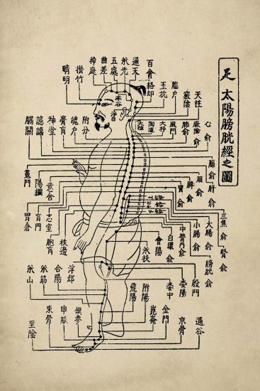 Body Maps Image 1 Figure 1.2 Full Manchu man, Qing dynasty (1644-1912). Unknown illustrator, woodblock print Meridian men largely remained consistent as a visual genre. They established a graphic lineage to which authors, illustrators, and editors understood themselves as contributing. The 14 meridian series always showed 14 individual meridian men in the same order, with bladder man appearing seventh. From Hua Boren (滑伯仁), Guben jiaozhu, Shisi jing fahui, 1969, 39