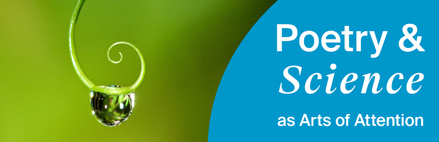 Photo by Susan McConnell: a drop of dew on a plant tendril; text reads: Poetry & Science as arts of attention