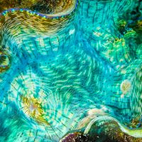 Annual photo contest highlights Earth’s wonders