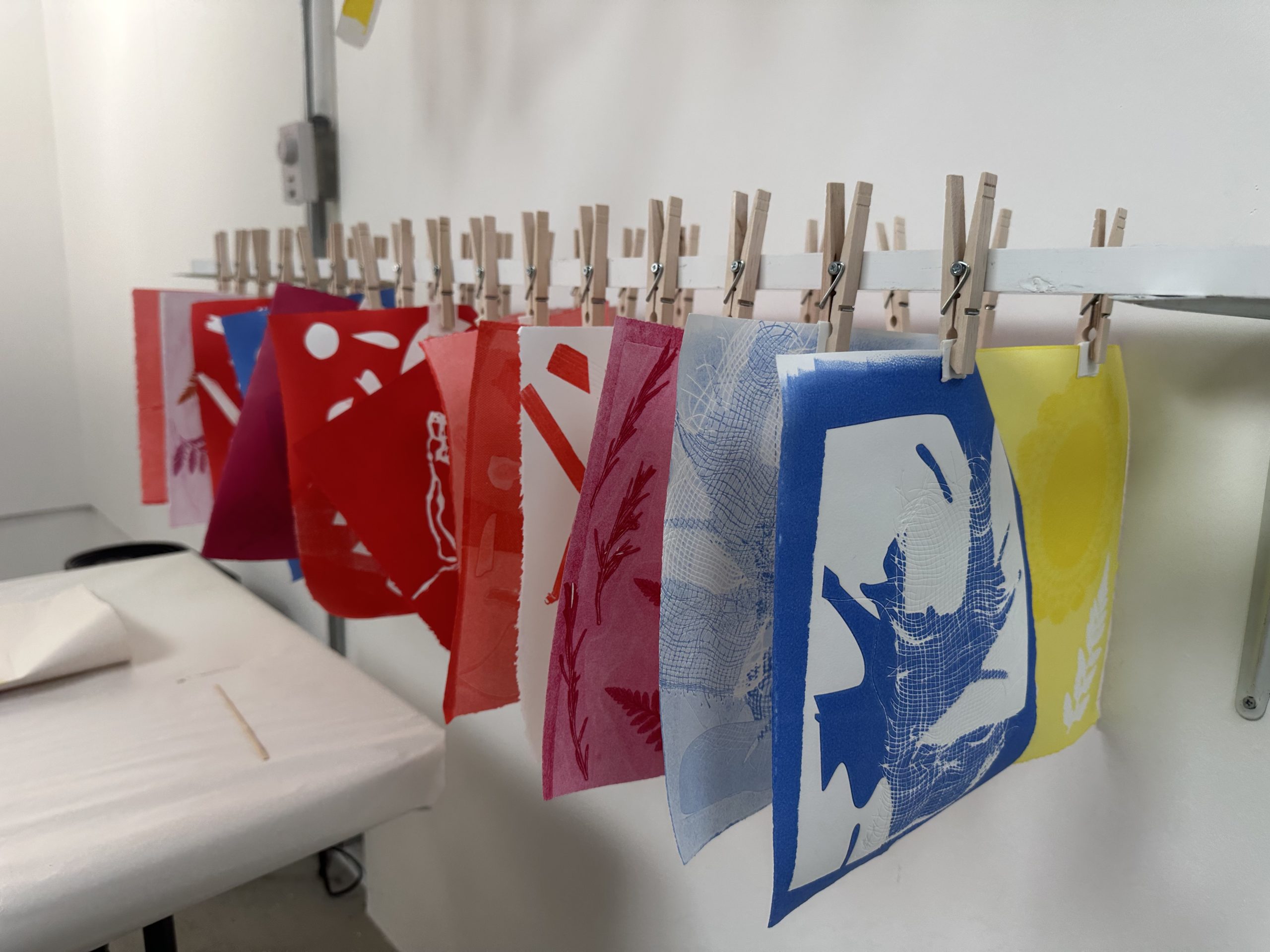 aCPrintmaking_7841