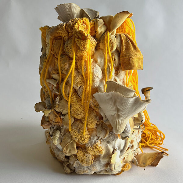 a photo of Minga Opazo's sculpture: REwoven, Recycled hand woven textile, mycelium, 15"x5, 2023