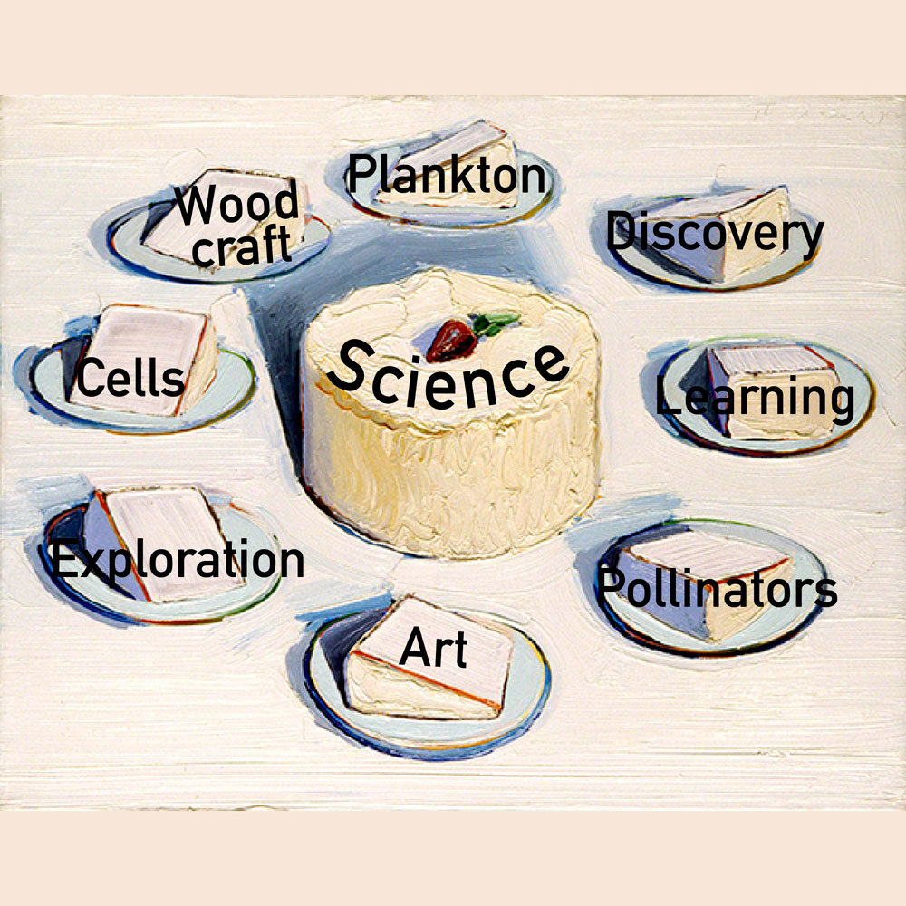 an illustration of a cake labelled "science" with slices circling it, each with a different label. The labels read: plankton, discover, learning, pollinators, art, exploration, cells, woodcraft