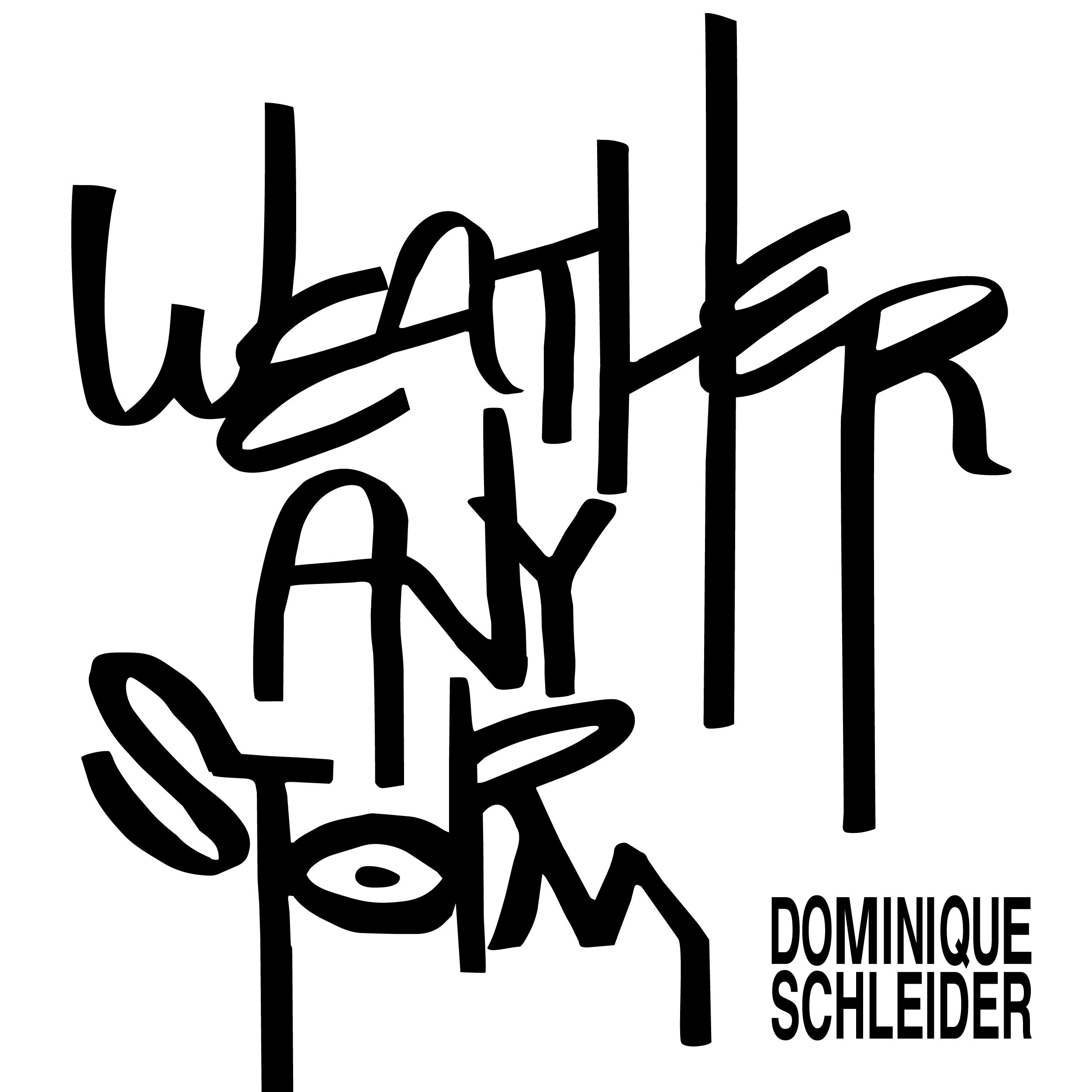 Weather any storm - Dominique Schleider